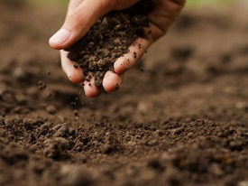 SoilPreparation_Portal_500x500.jpg
