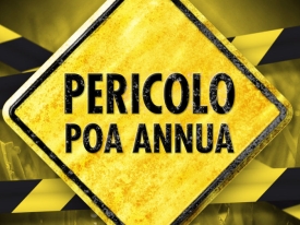 HEADER_IT-Poa-Annua-500.jpg