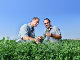 Lucerne France Farmer and Advisor 2018 (16).jpg