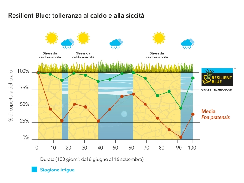 Sementi_product_image1_ResilientBlueSport