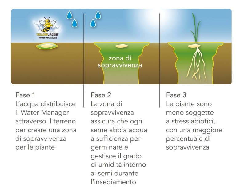 Sementi_product_image2_MonzaBermudagrass