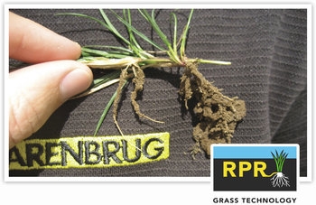 Sementi_product_image2_RPRRegenerating