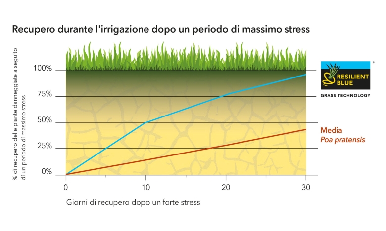 Sementi_product_image2_ResilientBlueSport