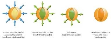 Concimi_product_image_active