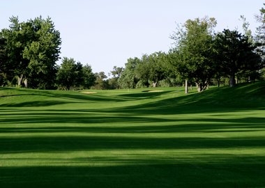 Golf course.jpg