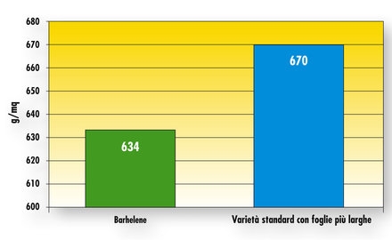 Graph_GreenEarth_MenoTagli_02.jpg