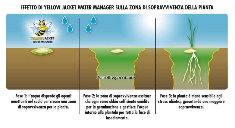 YJWM-Zona-di-sopravvivenza.jpg