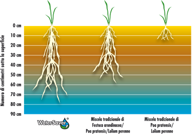 GRAPH-WaterSaver_IT_03.png