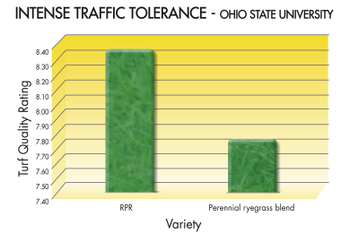 RPR_GRAPH-TRAFFIC-TOLERANCE-ENG.jpg