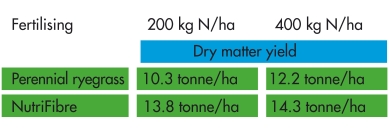 graph_nutrient_efficient.jpg
