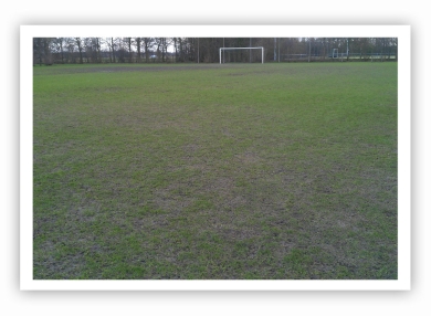 schade_regen_grasveld.jpg