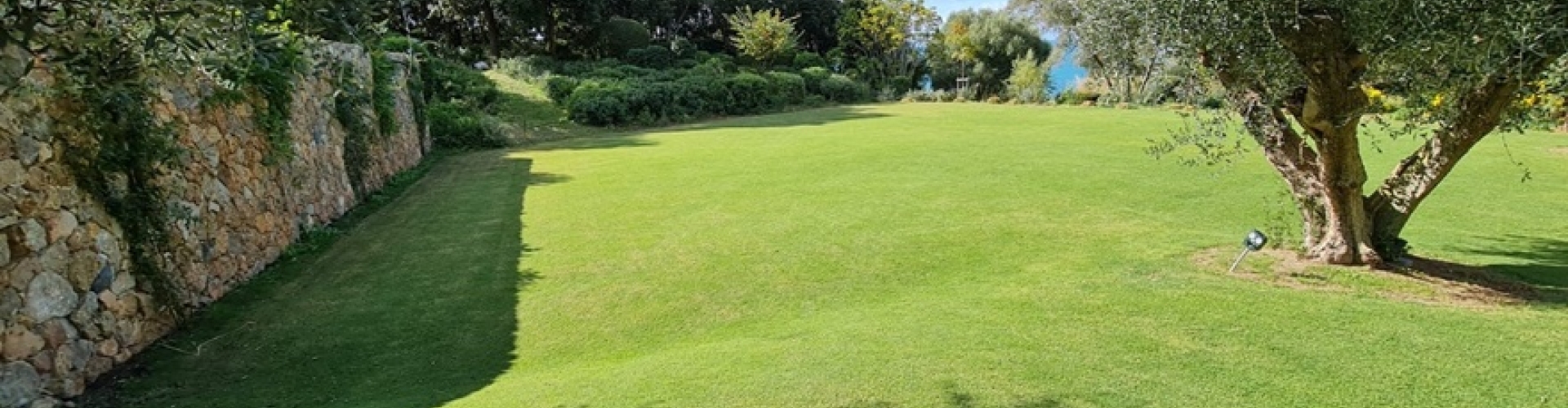 Sementi_product_header_MonzaBermudagrass