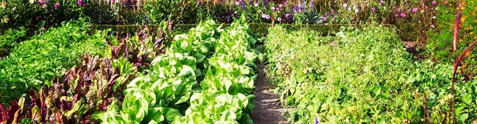 Concimi_product_header_BarFertile-Universal