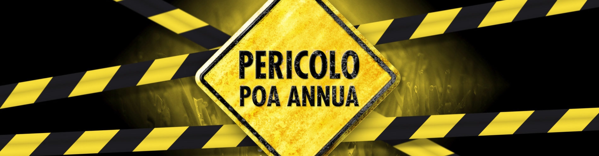 HEADER_IT-Poa-Annua-500.jpg