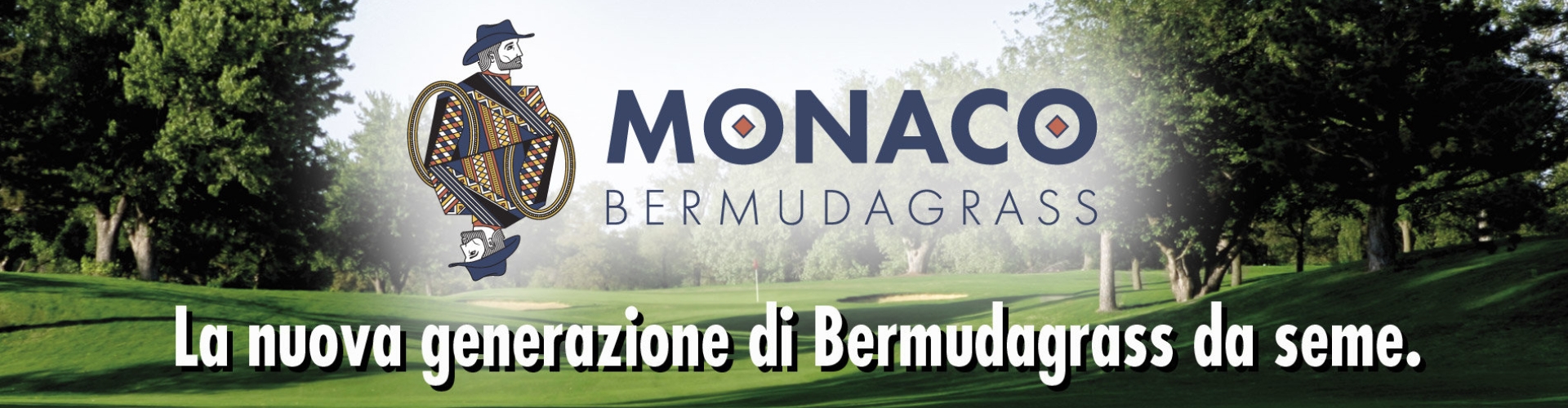 HEADER_Monaco-Bermuda_500.jpg