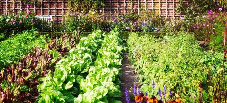 Concimi_product_header_BarFertile-Universal