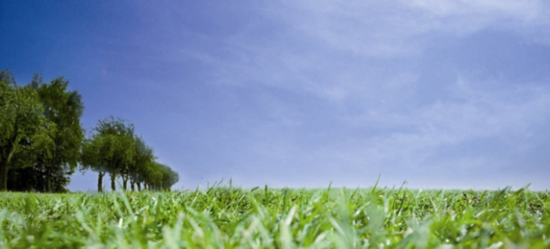 Concimi_product_header_Ferro31