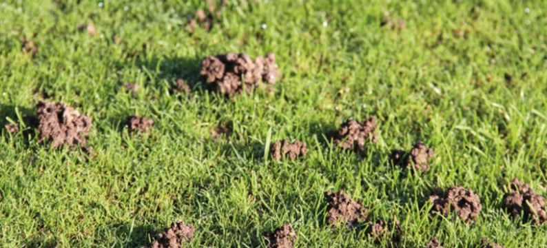 Concimi_product_header_JokerBioTurf