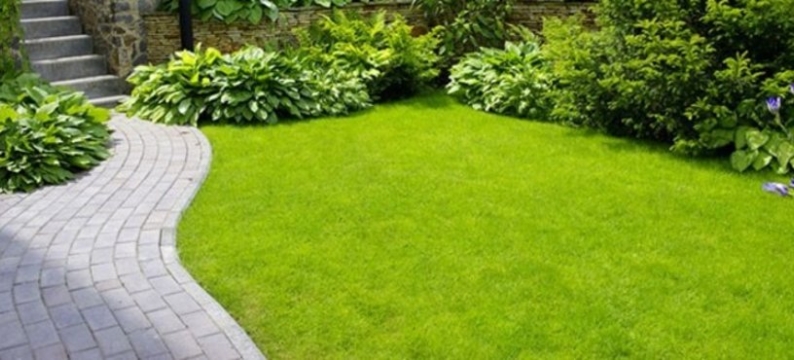 Concimi_product_header_Starter