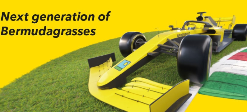 HEADER_Monza-Turf.jpg