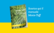 copertina sito web.jpg