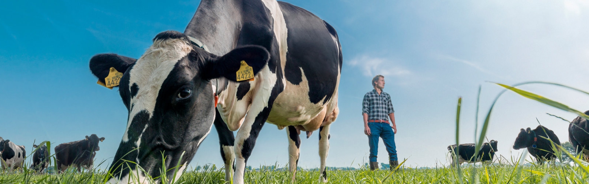 Sustainability header.jpg
