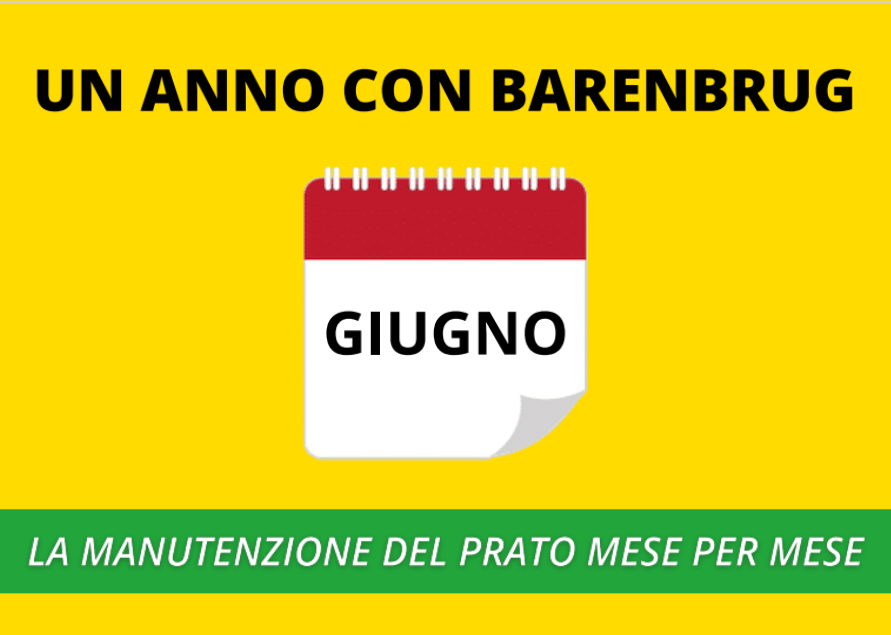 GIUGNO