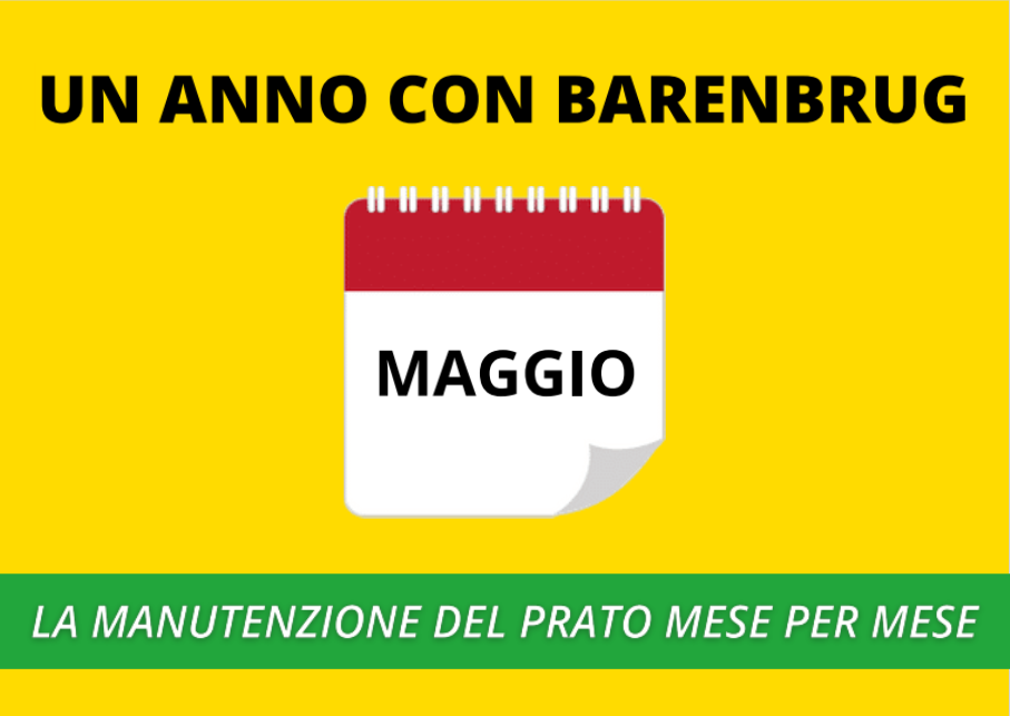 MAGGIO