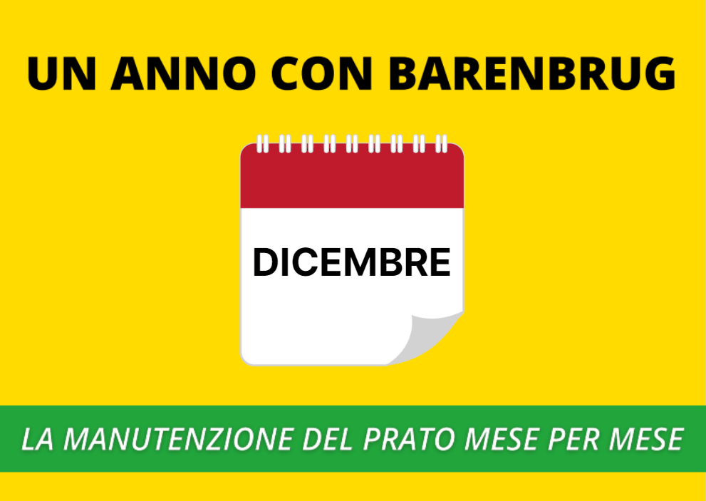 DICEMBRE.png