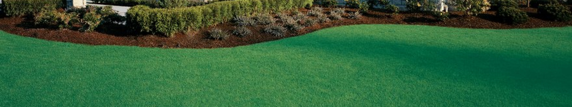 Sementi_product_header_WaterSaver