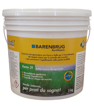Barfertile Ferro 31