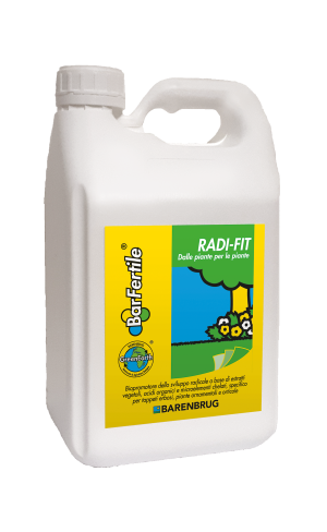 Radi-Fit
