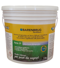 Barfertile Ferro 31