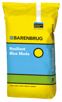 resilient blue muda